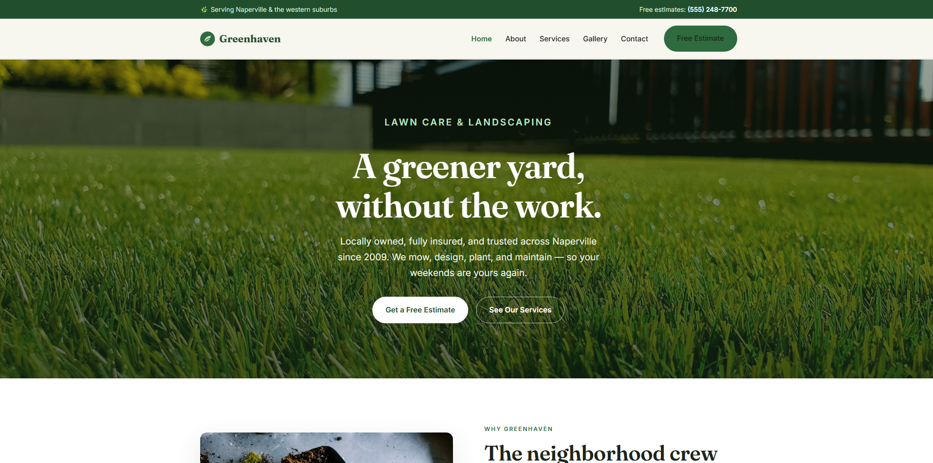Lawn care and landscaping template preview